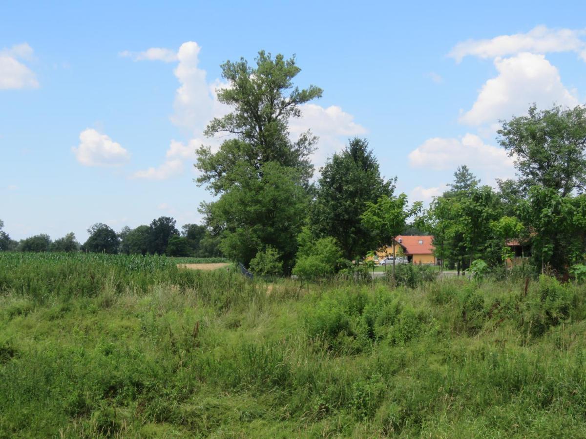 Mill House Apartment And Camping Лютомер Екстериор снимка