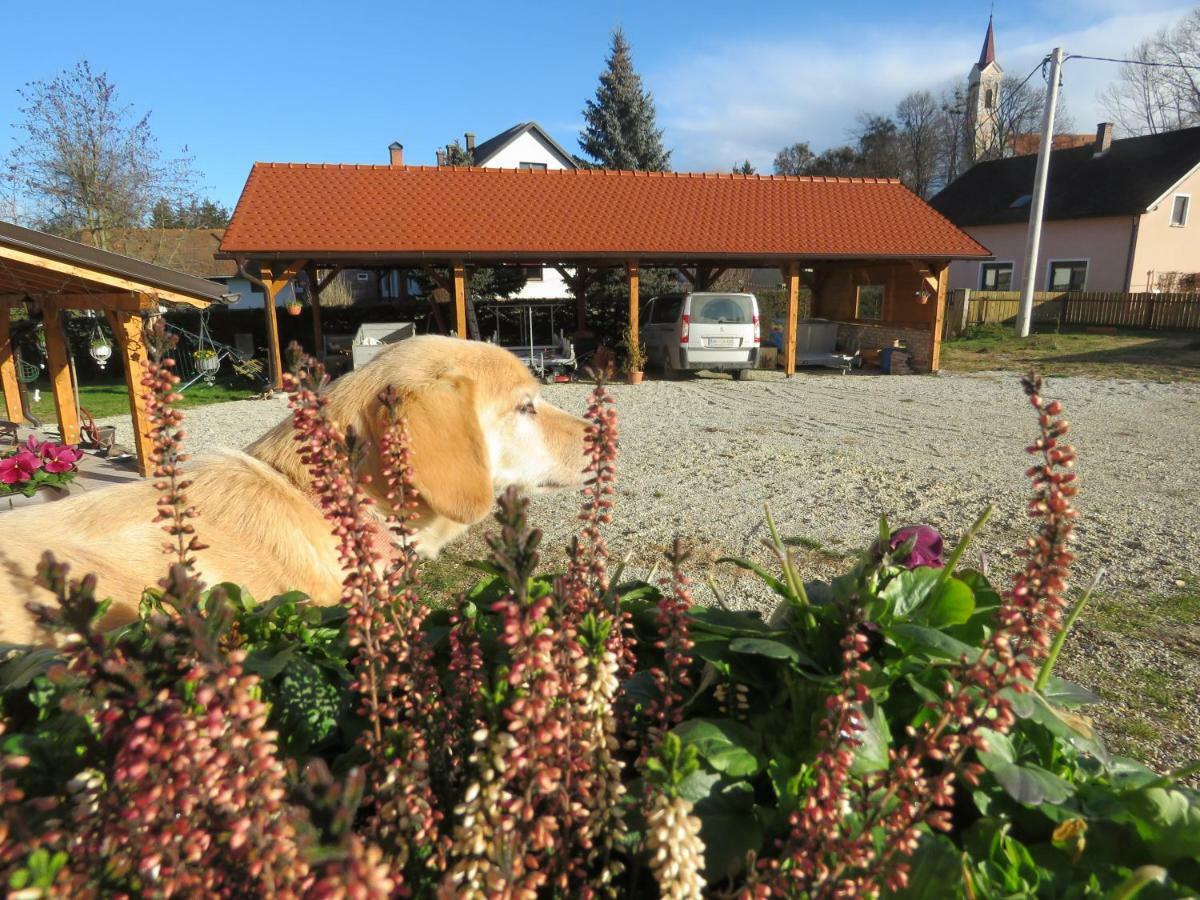 Mill House Apartment And Camping Лютомер Екстериор снимка
